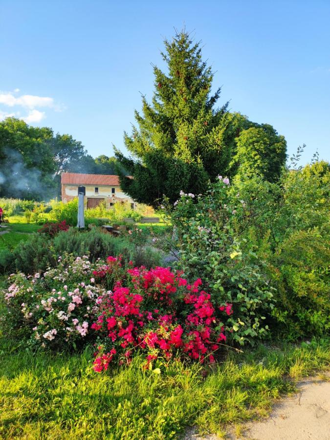 Rohoznice  Dvur Dolenec 아파트 외부 사진